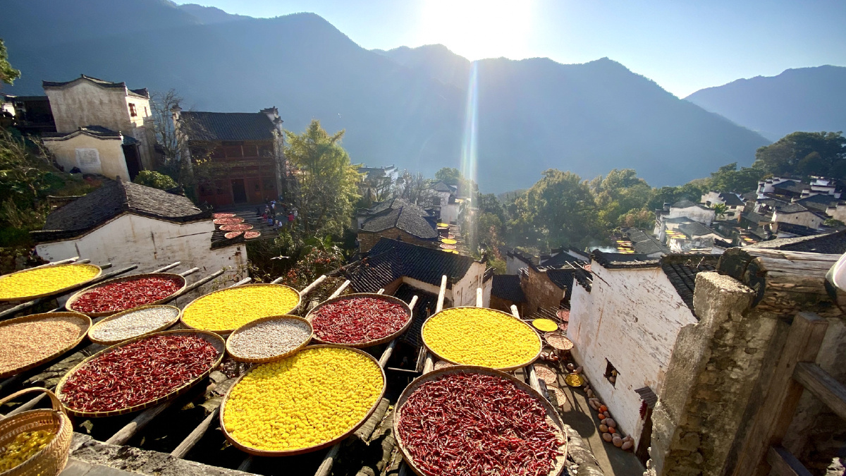 婺源晒秋