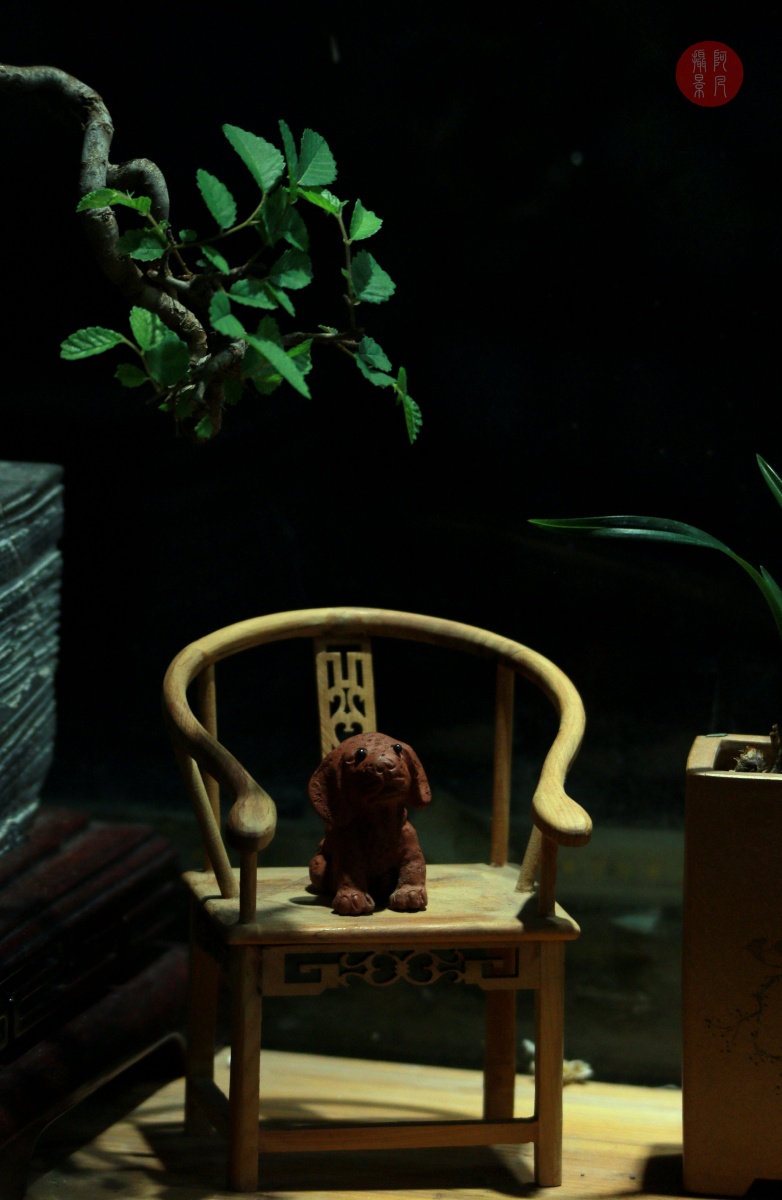 静物小品 - 阿凡摄影 - 图虫