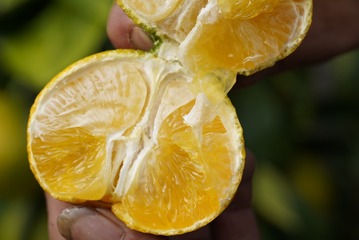28955D63-2DFC-4C3D-98DA-DD29291E3D44/L0/001