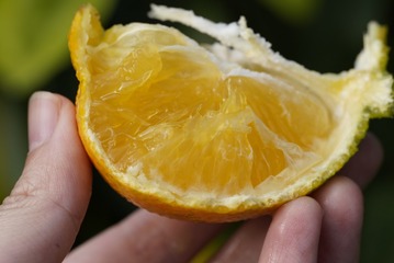 0E87E3CA-27D1-4E1E-BBC0-03C2BEF9FD94/L0/001