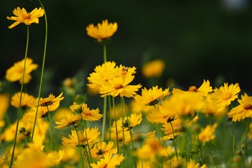 671D8603-98EF-43FD-914A-07B8FBEDEEC8/L0/001