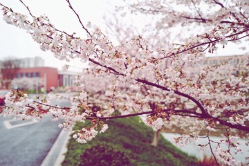 7D2D5DD5-14F9-4027-BB58-B90DC0E74001/L0/001