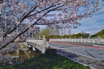 8D0E83CD-3ABF-4AB7-833D-E919CE7DB697/L0/001