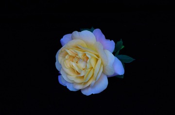 FE063E4B-C75F-4EF6-BCD0-CEFD28E2266C/L0/001