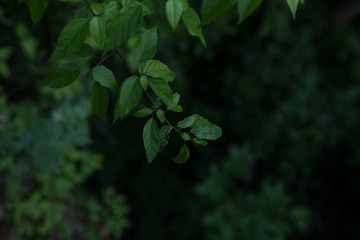 358362