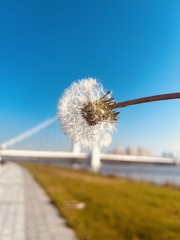 0FE49F65-35CA-4A15-91C0-5881DD011867/L0/001