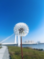 D40166E5-95AD-4972-A50B-C4473A7F6AB9/L0/001