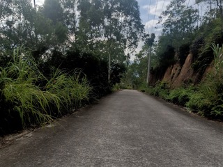 496682
