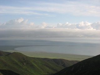 392549