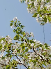 171B93DB-096B-49E1-8C28-8F1037BFDF94/L0/001