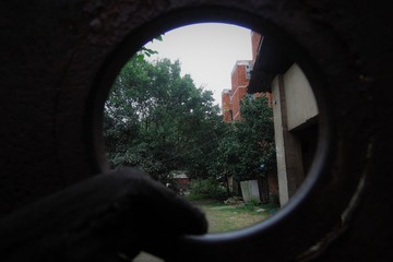 3207439