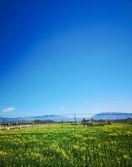 1690890