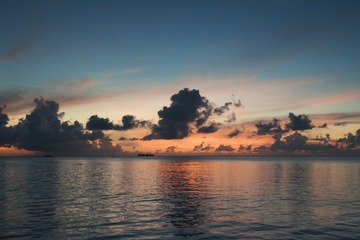 2819021