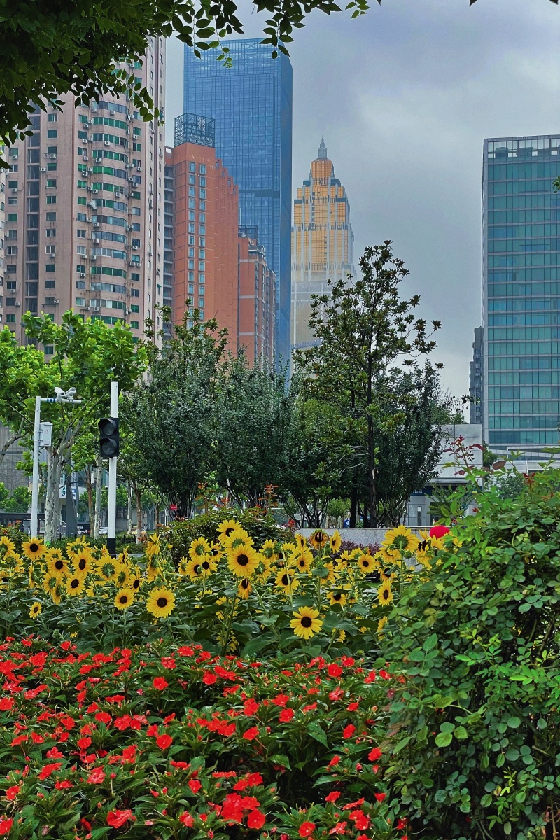 武汉三阳路路口等红灯时拍的城市一角