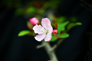 3BCFF4E9-430E-4B5B-B689-FD213C4AEC14/L0/001