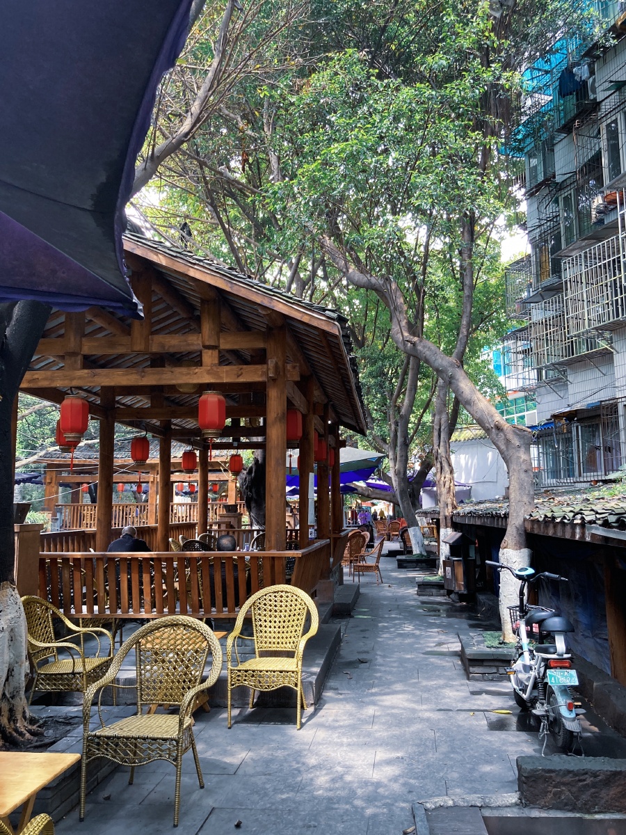 成都肖家河茶生活