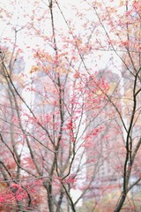 0750A90F-9CD6-4AD1-8D9A-6811C95D64E1/L0/001