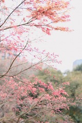 7CC5B13F-6AF0-4E8B-AC7A-5FC9D7FAC547/L0/001