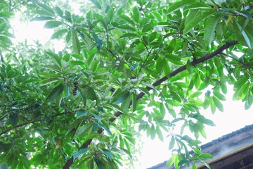 E307423E-7340-44FE-8B19-8C1818A5A5DD/L0/001
