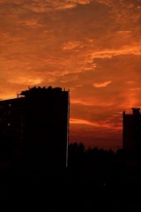 09EC4AA4-208B-40CA-841E-4565385D4C28/L0/001
