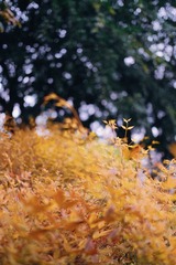 39F5AE01-FD6C-4B83-A101-AC5783B5DD53/L0/001