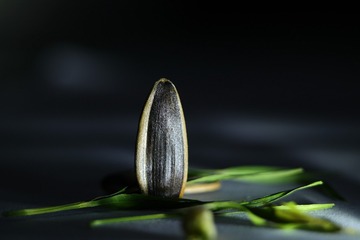 1000064600