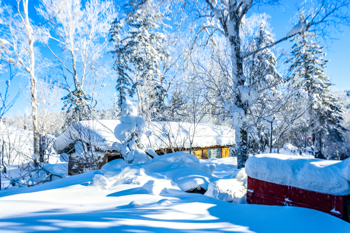 冬寒大地漫雪飘飘