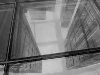 P1000263256