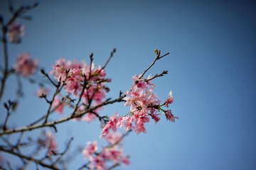 79939895-AEA5-41B8-BA2A-478B1A65E04B/L0/001
