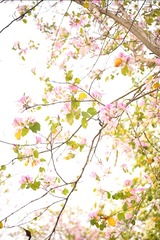F4D28101-DB82-41E7-9453-D89CE136CBB3/L0/001