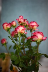 0DA0A9A3-1B29-45CE-877E-50F7B9E6E7B7/L0/001