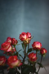 9A5A66FD-922C-4CA1-98B7-9130CBCDEEF5/L0/001