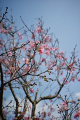 E830A503-9B0A-4ABD-9D28-5701BB47386E/L0/001
