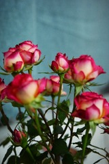 F821B753-0D9F-437A-8034-555465BB2FB1/L0/001