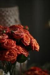 6A72B3B6-CBC3-4955-830C-0F44D0A0C9FE/L0/001