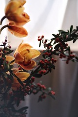 80CF832F-A6D4-46D1-B9BC-3449F1041B90/L0/001