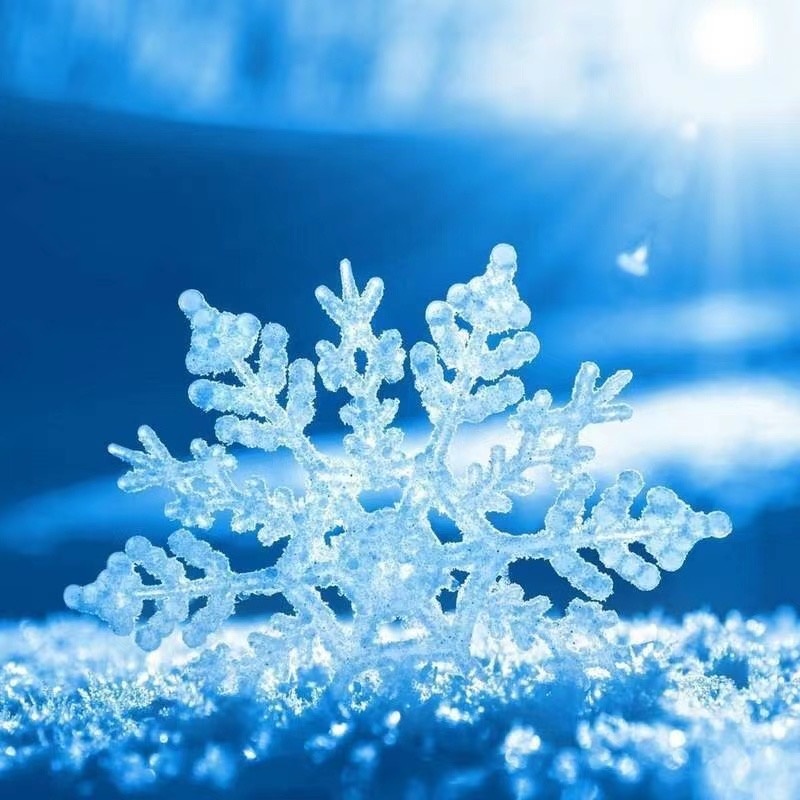 雪花是冬天最美丽的花朵76