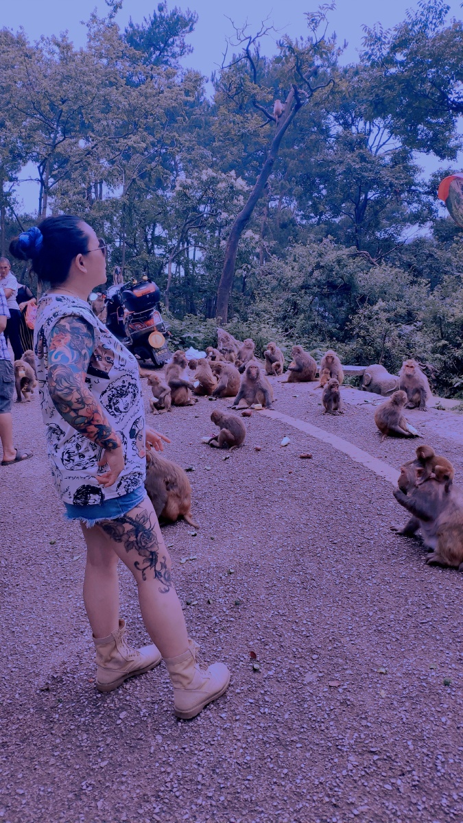 贵阳黔灵山公园漫山遍野的猴子?据说还有个猴王?