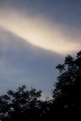 1000149236