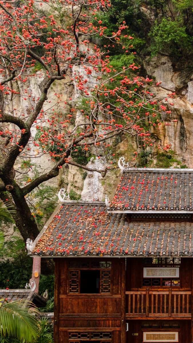 木棉树下桃源阁