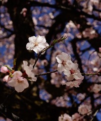 57CB5A02-A856-4A88-A4AB-41182A66751D/L0/001