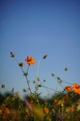 100527