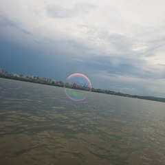 110813crh02 泡泡里的西湖。 摄影 见习记者 陈荣辉