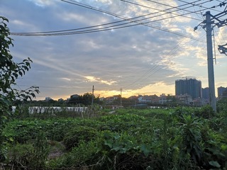 2644492
