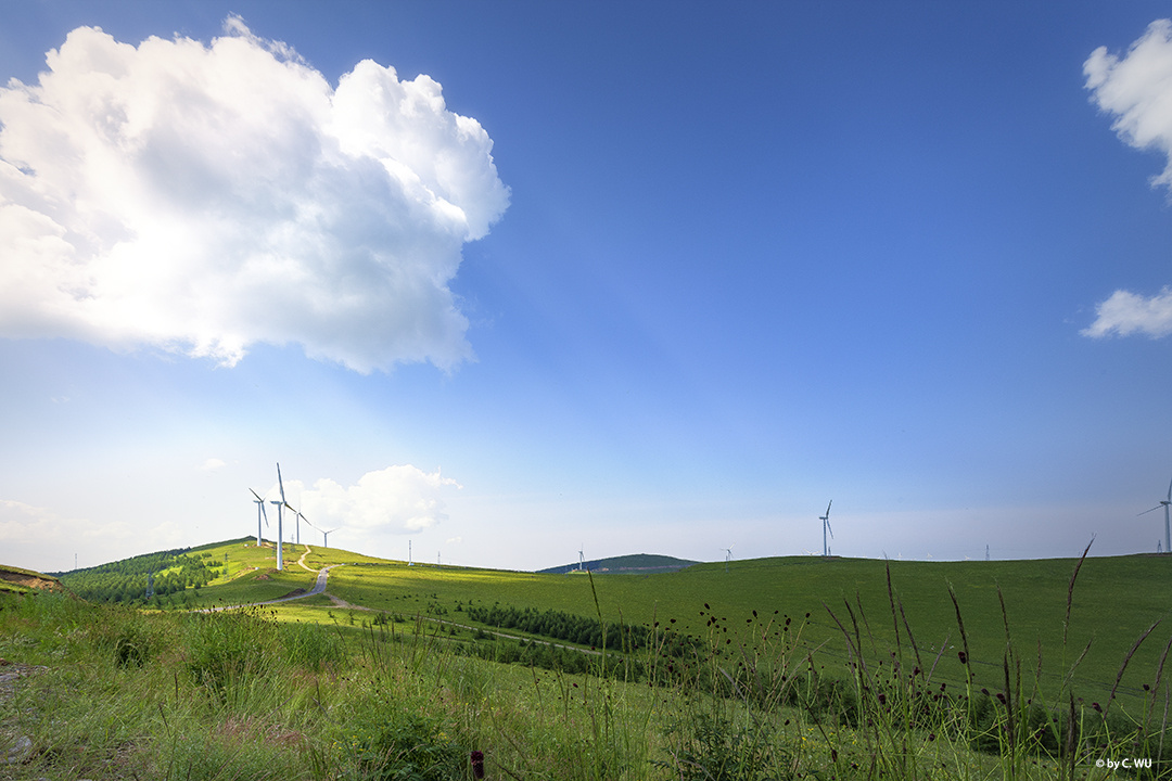 夏季的张北坝上草原