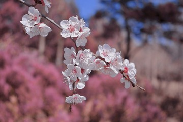 7506D30F-3740-410B-8B3F-14DEA21423B5/L0/001