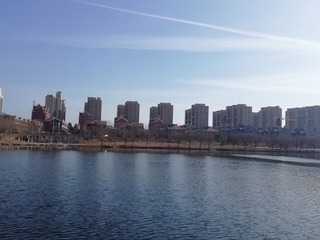 8496816