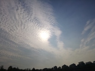 9051215