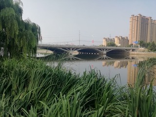 9136833
