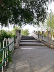 9051233